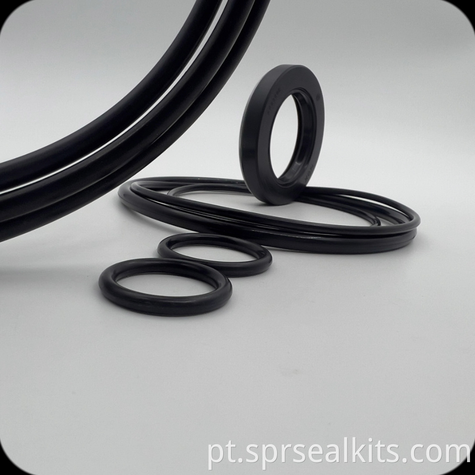 56 Swing Motor Seal Kit